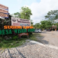 Kampung Flory, Kopi Keceh, Bali Ndeso