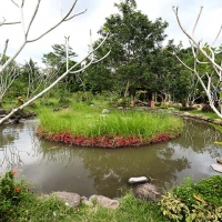 Kampung Flory, Kopi Keceh, Bali Ndeso