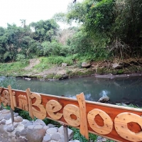 Kampung Flory, Kopi Keceh, Bali Ndeso